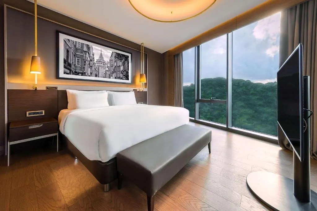 Radisson Collection Hotel Vadi 伊斯坦布尔